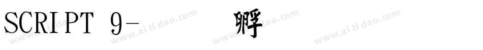 SCRIPT 9字体转换